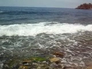 Ramener le baton même dans l'eau avec des vagues