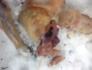 RUS GENÇLER ÖLÜ UZAYLIMI BULDU ?? haber detayları www.bizumgaste.net  de