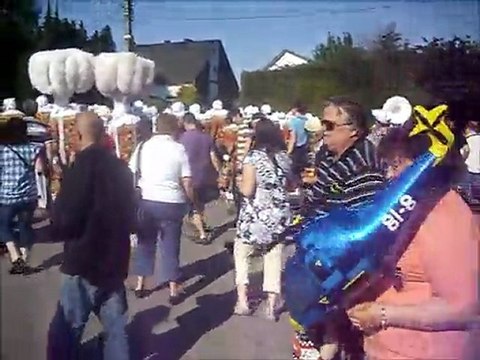 Cavalcade de auvelais les gilles et les paysannes
