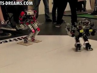 RoboGames 2011 - Day 3 Humanoid Robot Kung-fu - Match 11