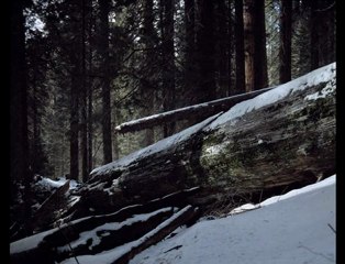 Joshua James - To Be Alone With You