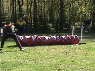 "Zuikelio taurė" - ErnestaxBongo 2