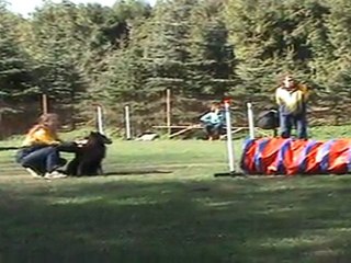 "Zuikelio taurė" - Kami 1