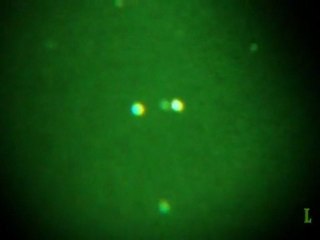 UFO activity over Virginia 17-Jan-2011