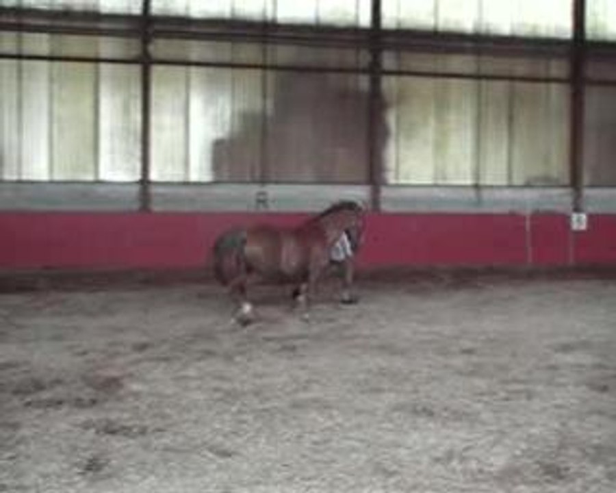 mon ptit loup qui me suit