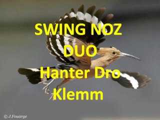 SWING NOZ DUO  Hanter Dro  Klamm