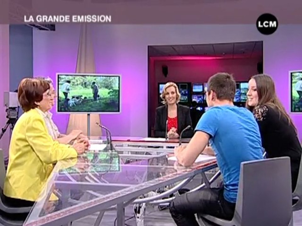 Refuge Saint-Roch: l'amour des chiens (Marseille)