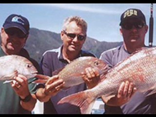 Havelock pelorus sounds fishing in Marlborough