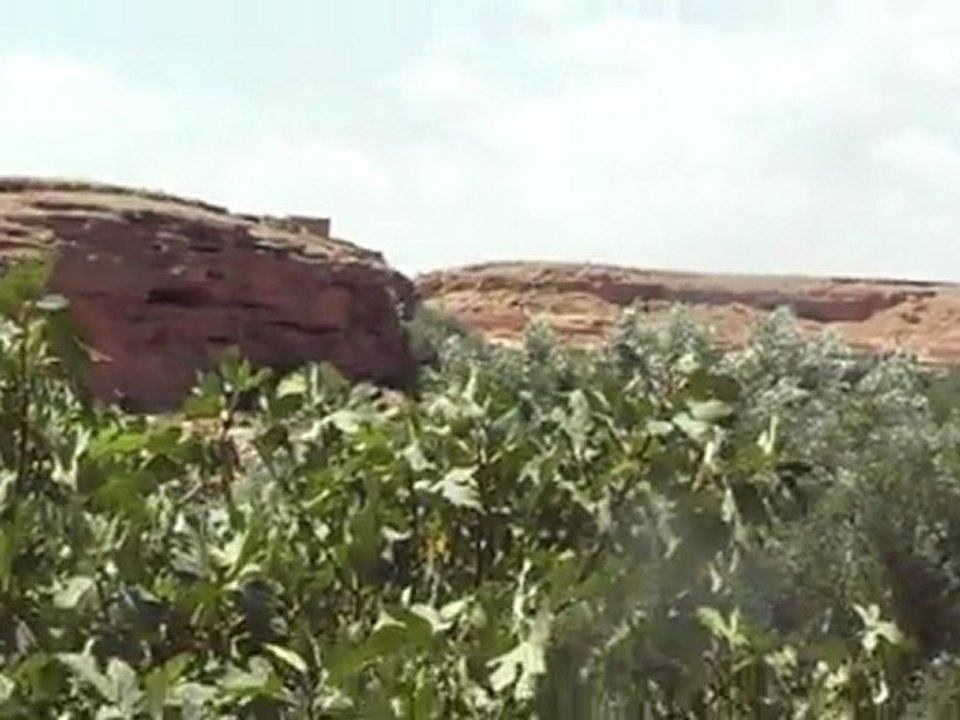 MOV14A
