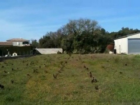 Vente - terrain - STE CECILE LES VIGNES (84290) - 1 500m²