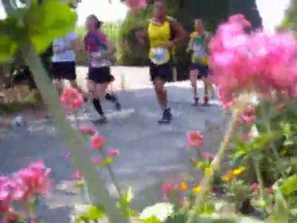 landes et bruyères cap d'erquy 2011..1èr partie  cap fréhel