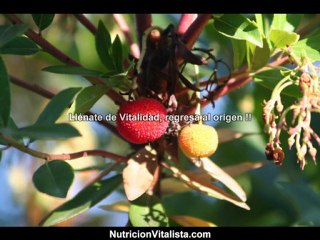 aprende a cuarte tu mismo con tu alimentacion¡¡¡