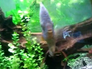 video-2011-05-01-09-31-54
