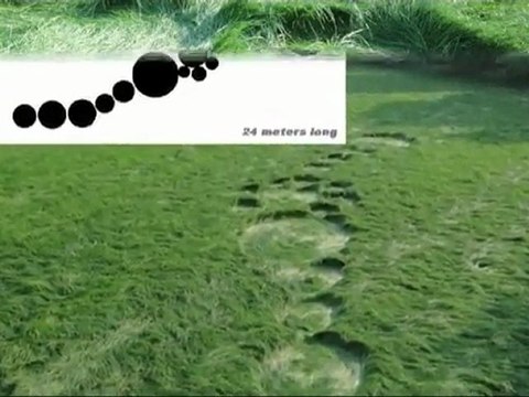 Первые круги на полях в 2011 году/circles on the fields(strangeworlds.at.ua)