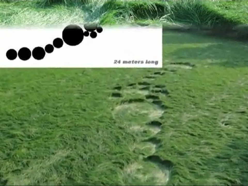 Первые круги на полях в 2011 году/circles on the fields(strangeworlds.at.ua)