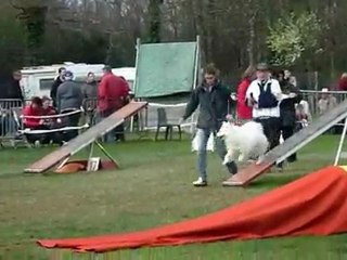 Orsane, agility la roche sur yon, 2ème concours !