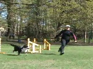 "Zuikelio taurė" - MingailėxKela 1