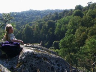 [2007] - Into The Wild