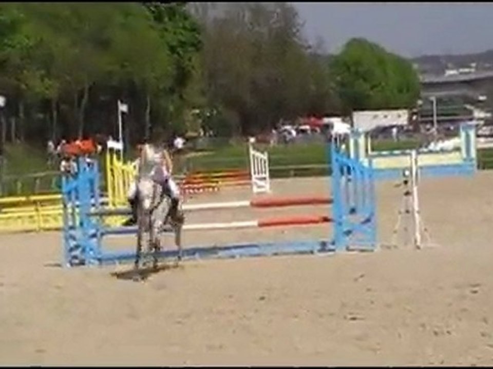 A VENDRE, Glenville Lad, 10.04.2011 Poney 2