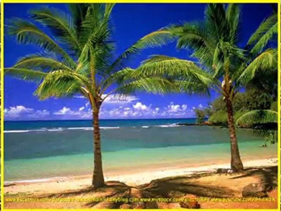 DIK-DIK IL FAIT TROP BEAU DIXA.RE-7 PERSUASIF