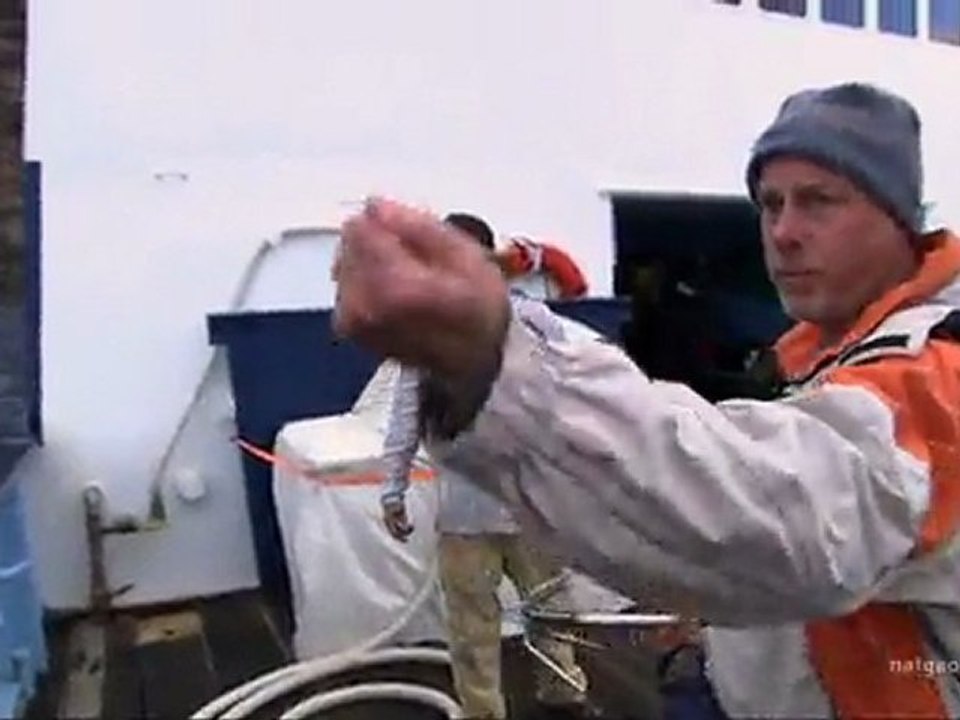 NatGeo's Shark Men - Biggest and Baddest