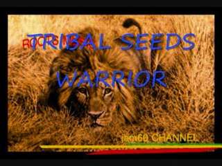 TRIBAL SEEDS-WARRIOR