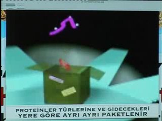 Hücrenin içindeki ambalaj sistemi, Golgi aygıtı