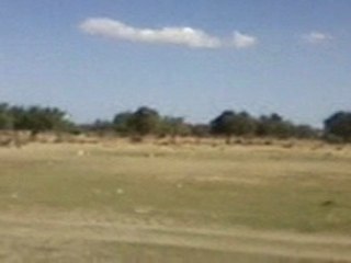 melloulech Tunisie jnan mbelleg 01 mai 2011