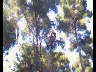 Journée coudou parc