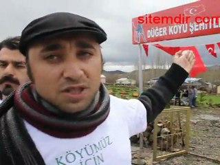 Hafik Düğer Köyü Fidan Dikimi