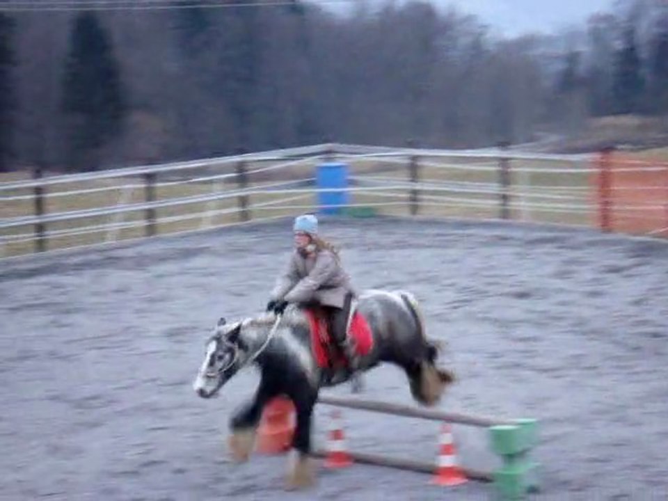 Tao travail a pied, equifeel, obstacle, cross