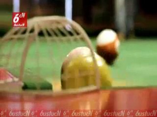 Bu Bilardoyu Kim Oynamak İstemez