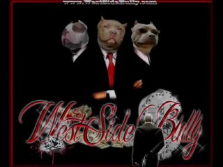 West'Side Bully " Master Yood'z " &  West'Side Bully " Diesel "  ( 6 Months 15 Days )