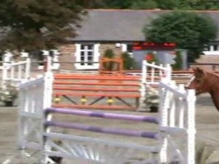 ilton-coet-120-04-2011