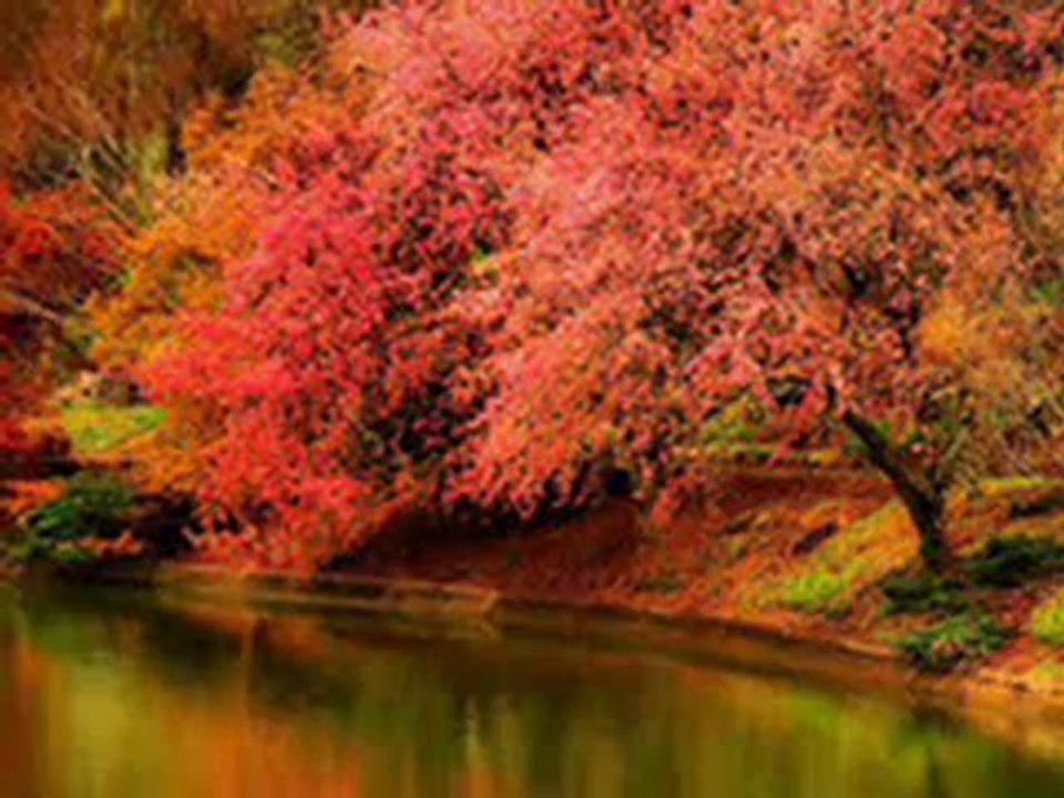 SEZEN AKSU BİLİYORSUN