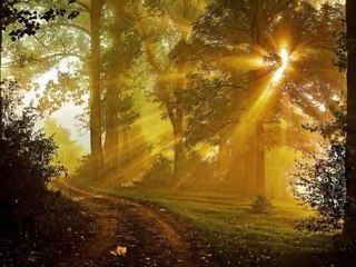 TILLINGER ATTILA - MIÉRT VANNAK ÁLMOK