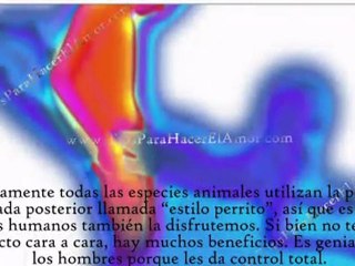 Orgasmos - Las Posiciones Para Orgasmos Fabulosos de Hombres y Mujeres - (Enciende Altavoces)