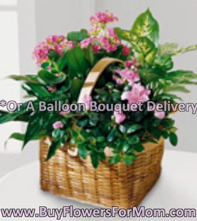 Deliver Flowers
