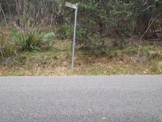 Speeding Car - Targa Tasmania Stage
