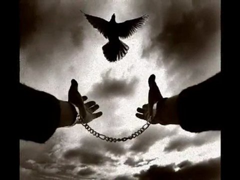 ZÜLFÜ LİVANELİ GÜNEŞ TOPLA BENİM İÇİN serbülent öztürk yapımı