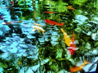 FATİH GÜRGÜN-ALİ İŞCEN-ŞU İZMİRDEN ÇEKİRDEKSİZ NAR GELİR_0001