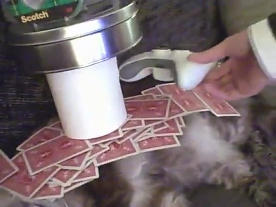 61-objets-chat