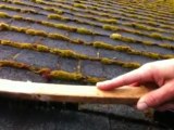 West Seattle Roof Cleaning 206-786-0098 Roof Moss Removal