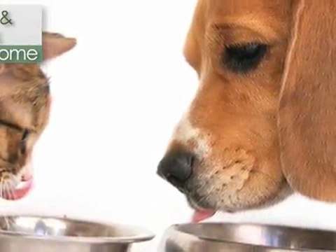 Bridgewater at Wells Crossing Apartments in Orange ...