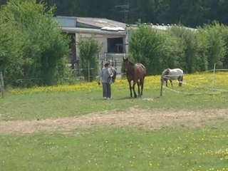 01.05.2011.zk.tiloa.douche