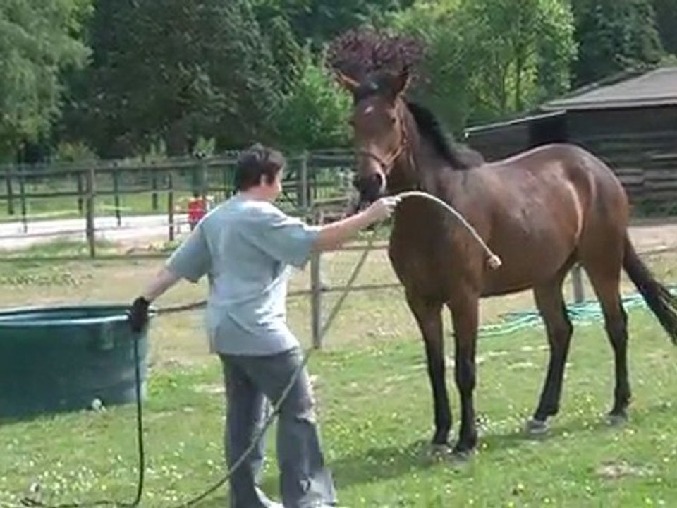 01.05.2011.zl.tiloa.douche