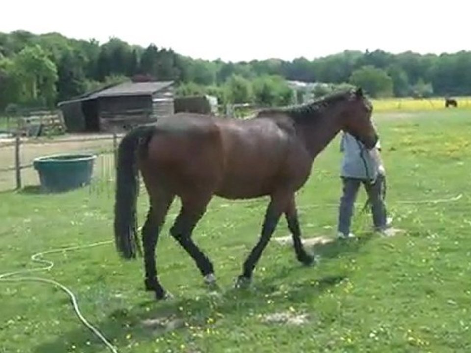 01.05.2011.zm.tiloa.douche