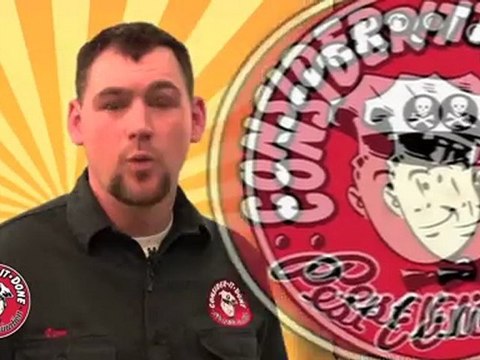 Pest Control Layton - Carpenter Ants in Utah