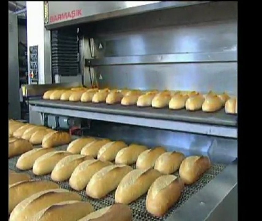 SARMAŞIK MAKİNA - Boru Isıtmalı Katlı Tünel Fırınlar/Steam Tube Multi-Deck Tunnel Oven