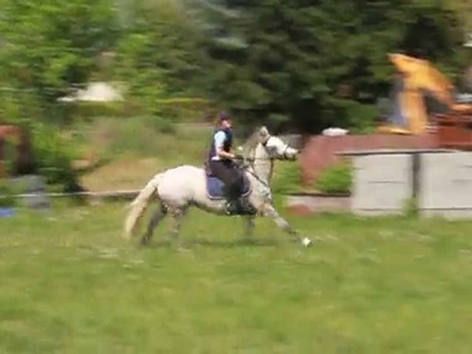 MVI_7397